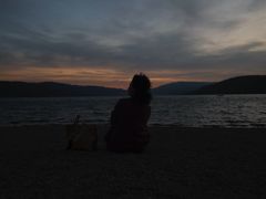 -阳宗海湿地
