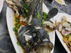 -七鲜渔港美食餐厅(巽寮湾海景店)