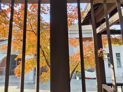 -白马涧龙池景区