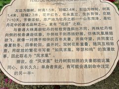 -太阳宫公园