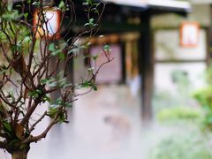 -嘉和K6温泉微度假