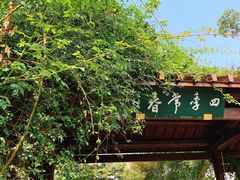 -鹅湖玫瑰文化园