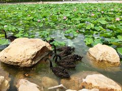 -长春世界雕塑园冰雪艺术天地