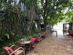 -Fern Forest Cafe