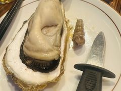 -土蚝·高压锅生蚝(百姓美食街店)