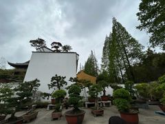 -龙华寺