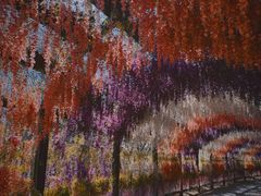 -沈阳鸟岛