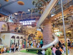 -卡通尼·Safari非洲探索乐园·生日会(金桥国际商业广场店)
