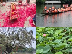 -荔湾湖公园