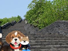 -虞山城墙