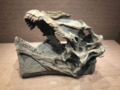 -自贡恐龙博物馆