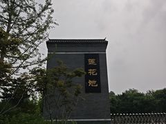 -莲花池公园