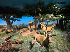 -国家自然博物馆