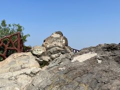 -北京西山国家森林公园