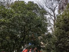 -杭州少年儿童公园