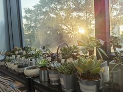 -漫慢里艺术体验馆·绘画调香手工DIY