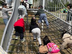 -前小桔亲子创意农场·草莓采摘·露营烧烤