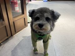 -FAELING PETS美天灵宠物(富力广场店)