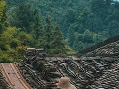 -杨家堂村