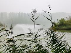-翠湖国家城市湿地公园