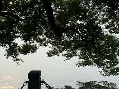 -西湖游船