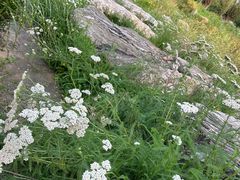 -汉长安城未央宫国家考古遗址公园