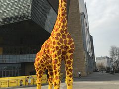 -1点点(国浩长风城商业广场店)