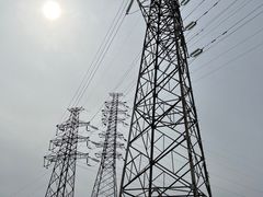 -白水寺森林公园