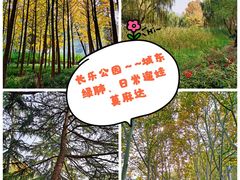 -西安市长乐公园
