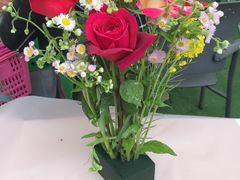 -海上花岛玫瑰园采摘