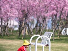 -福建鲤鱼洲酒店