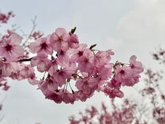 -梁鸿国家湿地公园