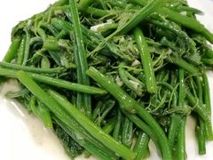 蒜蓉瓜苗-正嘢私房菜