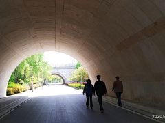 -尚贤河湿地