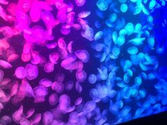 -北海市海滨公园