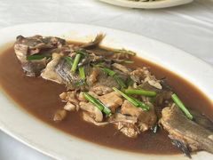 -宾朋海鲜饭庄(兴海路店)