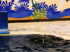 -太平洋海底世界