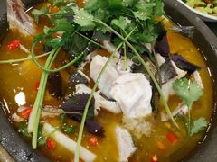 -重庆火锅水库鱼庄(南油店)