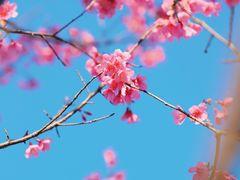 -福清灵石山国家森林公园