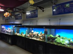 海珊瑚主题餐厅(湛江店)-御唐府海珊瑚主题餐厅