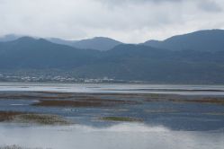 -纳帕海依拉草原