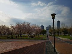 -上海山野camping·户外天幕烧烤·团建拓展营地