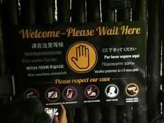 -怀托摩萤火虫洞