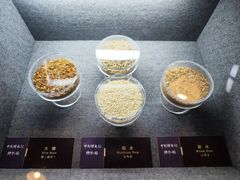 -镇江中国醋文化博物馆