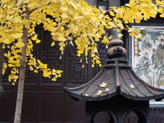 -四川大学(望江校区)