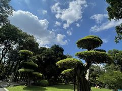-南宁南湖公园
