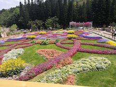 -深圳仙湖植物园-停车场