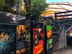 -怀托摩萤火虫洞