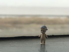 -上海南汇嘴大堤酒店