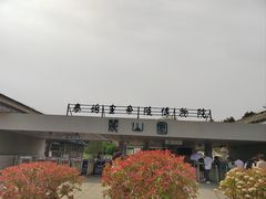 -秦始皇帝陵博物院-丽山园